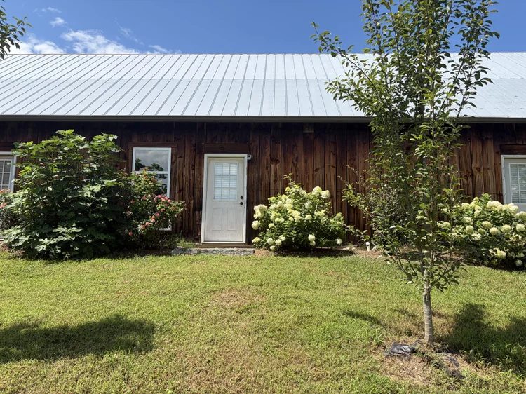 Front of an apartment: dark wood siding, a metal roof, a white door and hydrangeas