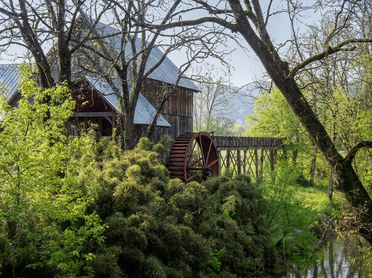 An old mill with a red water wheel beside a creek in spring