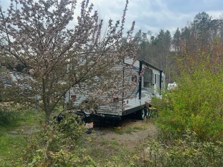 A travel trailer tucked behind a flowering tree in spring
